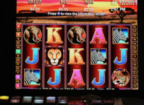 MG游戏平台试玩入口